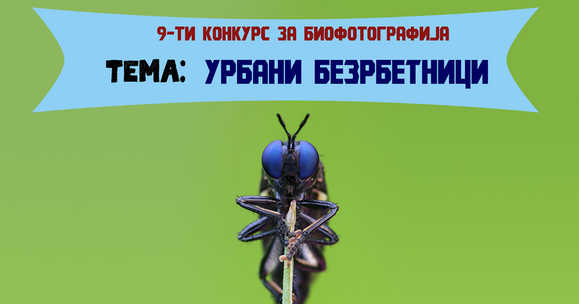 konkurs-za-biofotografija-urbani-bezrbetnici-nastani.jpg
