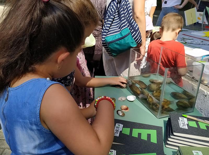 Izlozba Za Urbaniot Biodiverzitet 8