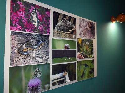 Urbani Bezrbetnici 24