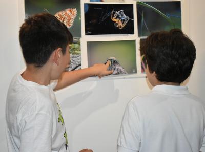 Urbani Bezrbetnici 26