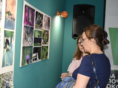 Urbani Bezrbetnici 28