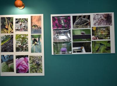 Urbani Bezrbetnici 2