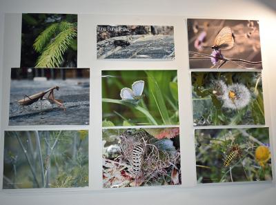 Urbani Bezrbetnici 3