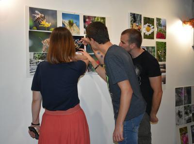 Urbani Bezrbetnici 4