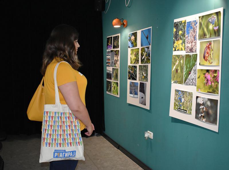 Urbani Bezrbetnici 5