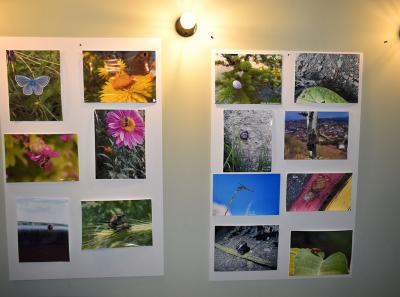 Urbani Bezrbetnici 6