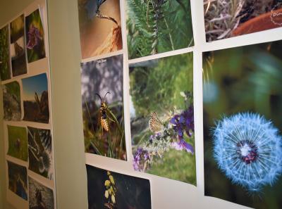 Urbani Bezrbetnici 7