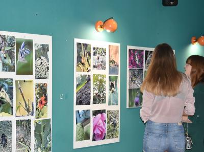 Urbani Bezrbetnici 9