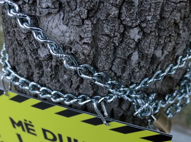 Skopskite Drvja Vo Sindziri 13