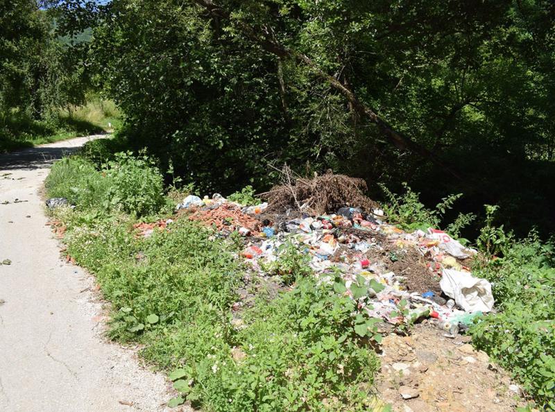 65485037 2356563221250852 2786675249519788032 O 2356563217917519