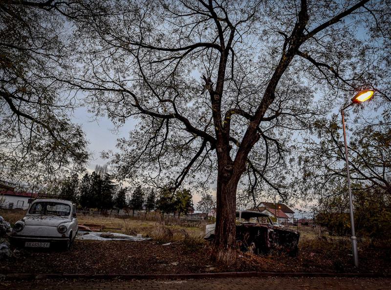 Kade Go Frlame Gjubreto 7