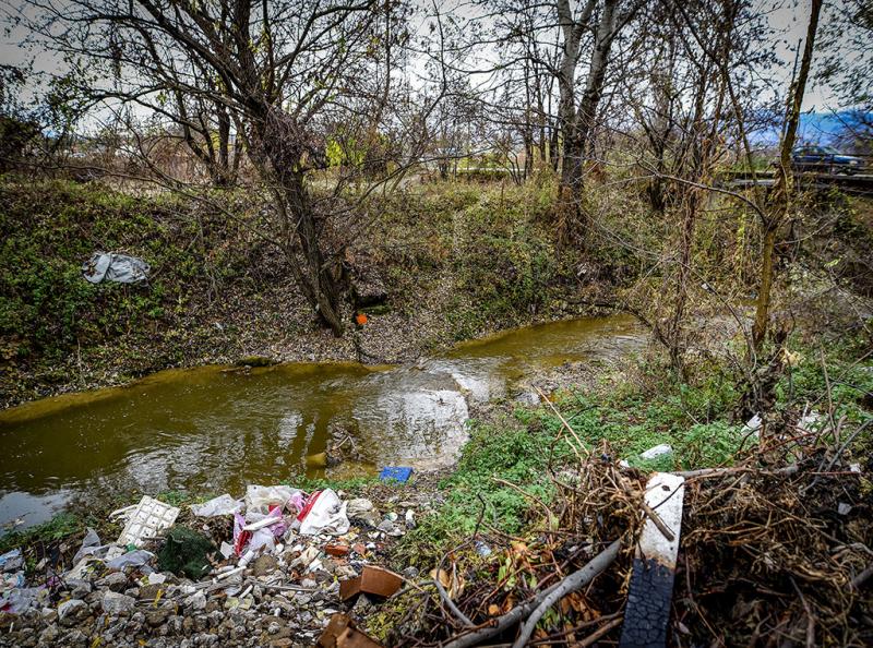 Kade Go Frlame Gjubreto 9