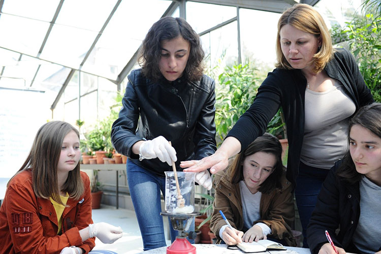 Kako da gi koristime rastenijata za sekojdnevna upotreba 1