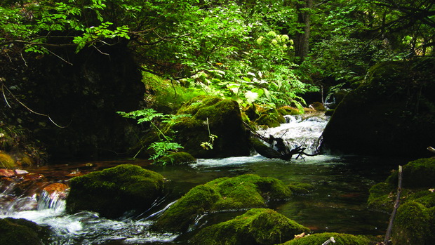 SAMSUNG DIGITAL CAMERA